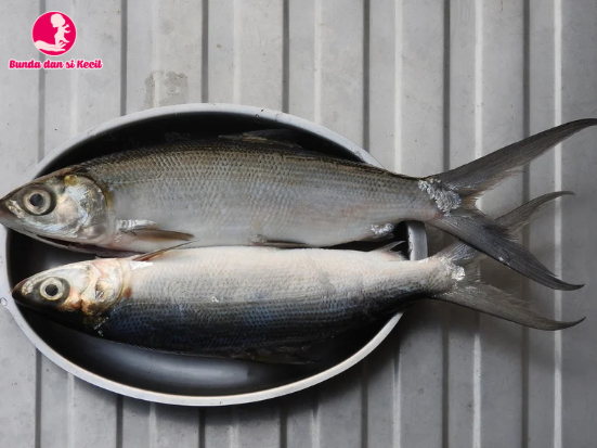 7 Manfaat Ikan Bandeng untuk MPASI: Sumber Gizi Lengkap Si Kecil!